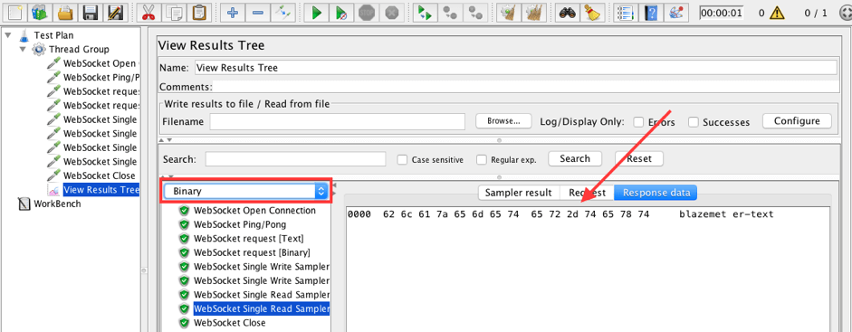 WebSocket Single Read Sampler [Binary]